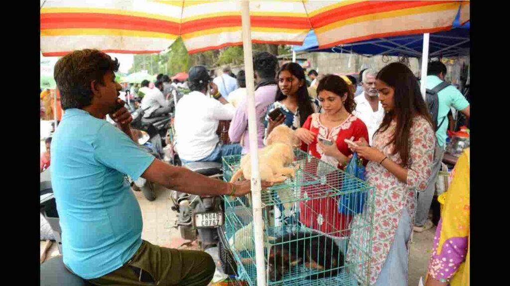 Beyond 8, experiential learning, market-ready skills, alternative education