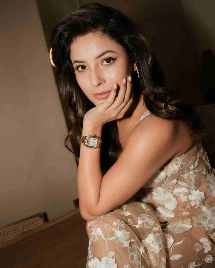 “Nervous Nahi Lag Rahi…”—Shehnaaz Gill’s Cute Yet Confident Comeback Wins Hearts 1 Shehnaaz Gill