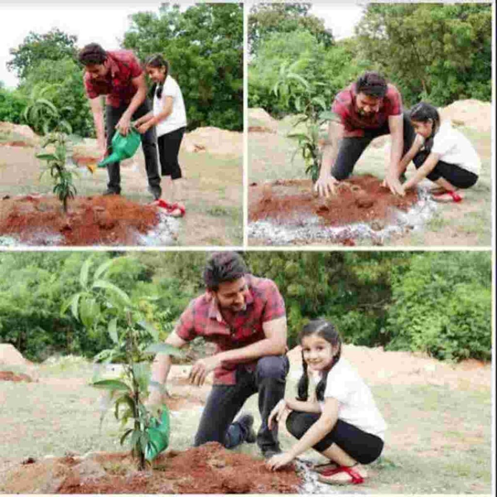5 Indian Stars Championing Environmental & Social Causes 1 Mahesh Babu Green India Challenge, Alia Bhatt sustainable living, Priyanka Chopra social causes, Shah Rukh Khan philanthropy, Dia Mirza environment